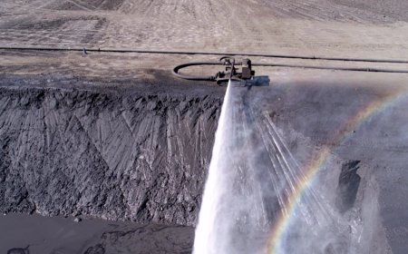 Sibanye halts Century zinc operations following bushfire