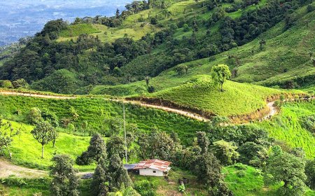 Silvercorp, Salazar to kick off Ecuador mine construction in early 2025