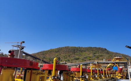 Zimbabwe lithium miners want royalties to be linked to prices