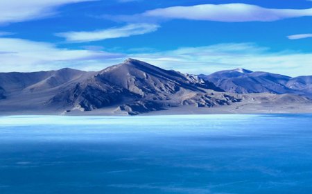 Zijin in talks to buy $6.4 billion China lithium miner