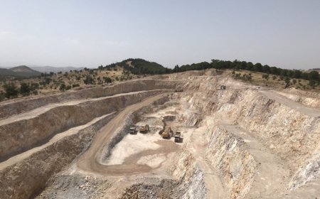 China funnelled $57 billion to control critical mineral supply chain