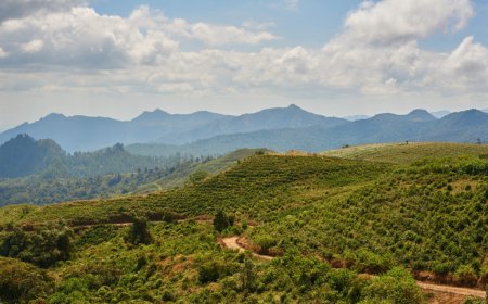 Indonesia says Eramet exploring new mining areas in South Sulawesi, Papua