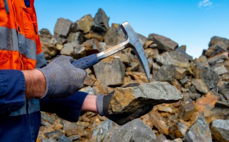 Global exploration budgets fall as juniors tighten belts: S&P