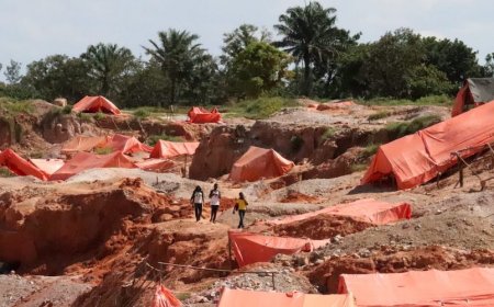 Congo offers US, Europe minerals in exchange for peace