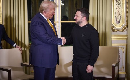 Trump, Zelenskiy nix minerals deal