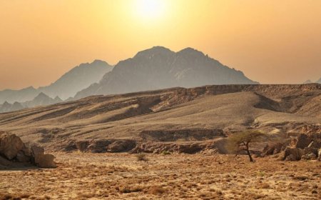 Saudi Arabia awards mining exploration licenses to local, international firms