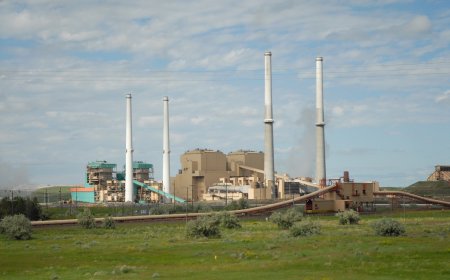 Dirtiest US coal-fired power plant applies for EPA exemption