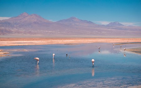 Chile has 28% more lithium than previous estimates, studies find