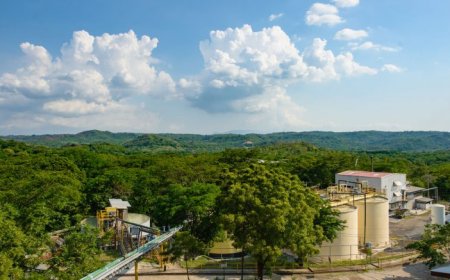 Calibre rises on record gold output