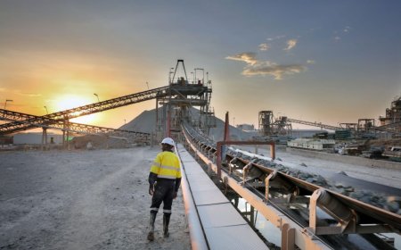 Tanzania wants large miners to refine, trade 20% of gold locally